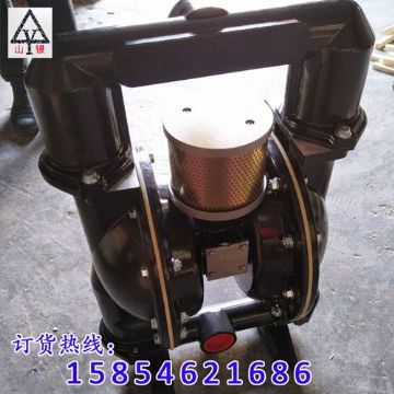 點擊查看詳細信息<br>標題：氣動隔膜泵 閱讀次數(shù)：1623