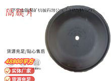 點擊查看詳細信息<br>標(biāo)題：氣動隔膜泵配件-隔膜片 閱讀次數(shù)：156