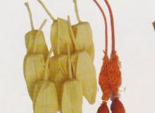 點(diǎn)擊查看詳細(xì)信息<br>標(biāo)題：取氣樣球膽 閱讀次數(shù)：52